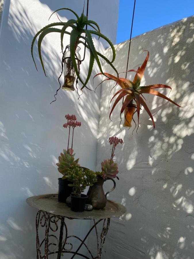 מלון פטרנוסטר Gelukkie מראה חיצוני תמונה